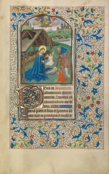 Flemish died